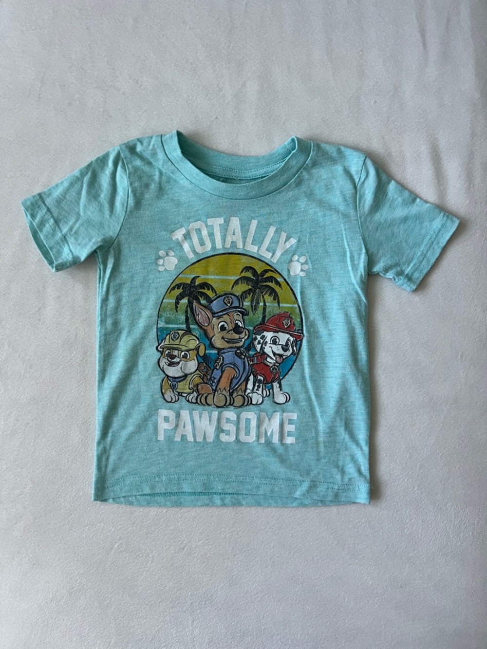 Paw Patrol Kids Tee in Aqua with 'Totally Pawsome' Graphic